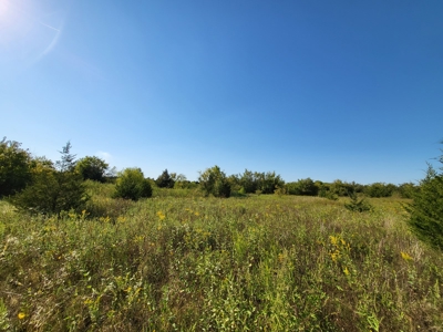 Recreational Land For Sale Paris Texas Lamar County - image 24