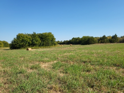 Recreational Land For Sale Paris Texas Lamar County - image 23