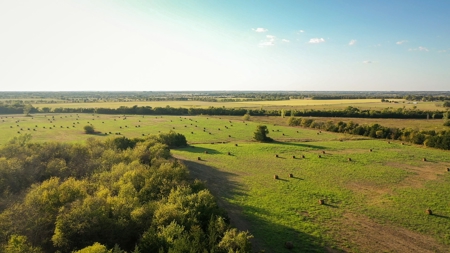 Recreational Land For Sale Paris Texas Lamar County - image 9