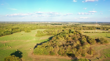 Recreational Land For Sale Paris Texas Lamar County - image 15