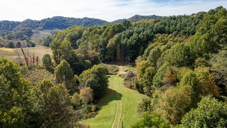 Recreational Property for Sale in Mouth of Wilson VA - image 29