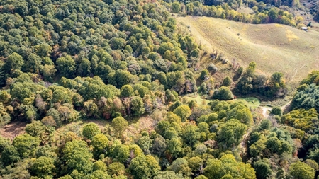 Recreational Property for Sale in Mouth of Wilson VA - image 26