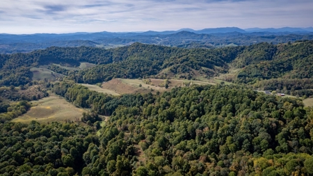 Recreational Property for Sale in Mouth of Wilson VA - image 24