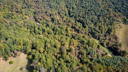 Recreational Property for Sale in Mouth of Wilson VA - image 27