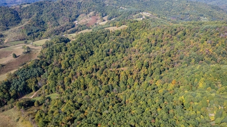 Recreational Property for Sale in Mouth of Wilson VA - image 23