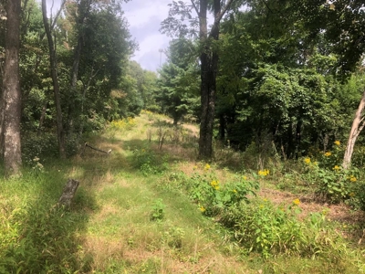 Recreational Property for Sale in Mouth of Wilson VA - image 16