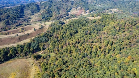 Recreational Property for Sale in Mouth of Wilson VA - image 22