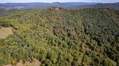Recreational Property for Sale in Mouth of Wilson VA - image 28