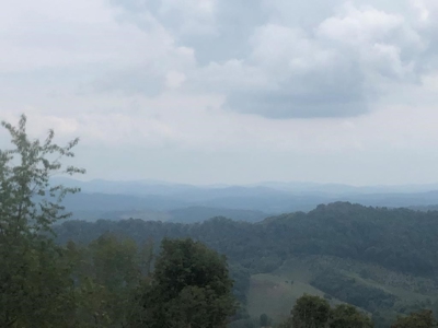 Recreational Property for Sale in Mouth of Wilson VA - image 15
