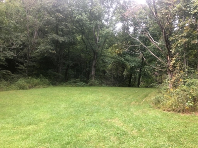 Recreational Property for Sale in Mouth of Wilson VA - image 18