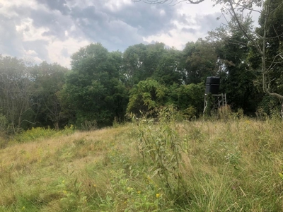 Recreational Property for Sale in Mouth of Wilson VA - image 17