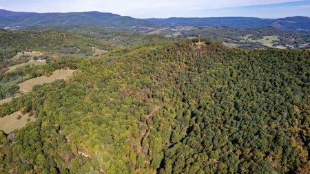 Recreational Property for Sale in Mouth of Wilson VA - image 19
