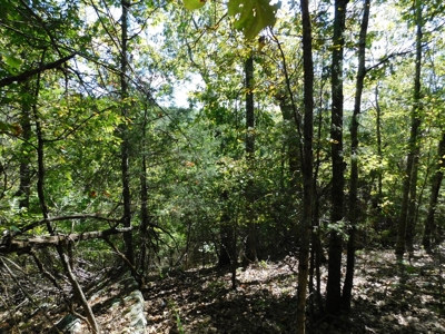 29 Acres Ozark Mountain Land For Sale Near Lakes - image 3