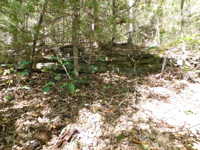 29 Acres Ozark Mountain Land For Sale Near Lakes - image 2