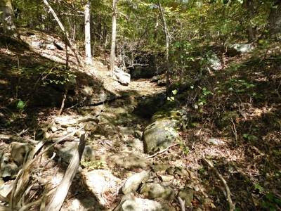 29 Acres Ozark Mountain Land For Sale Near Lakes - image 5