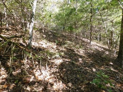 29 Acres Ozark Mountain Land For Sale Near Lakes - image 1
