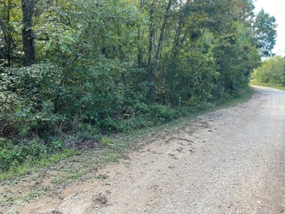 29 Acres Ozark Mountain Land For Sale Near Lakes - image 6