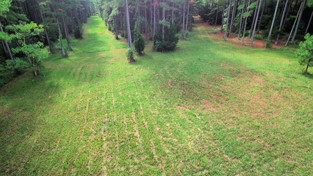 Waterfront Acreage On Lake Gaston, NC - image 5