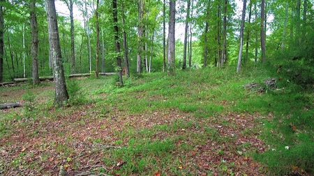 Waterfront Acreage On Lake Gaston, NC - image 18