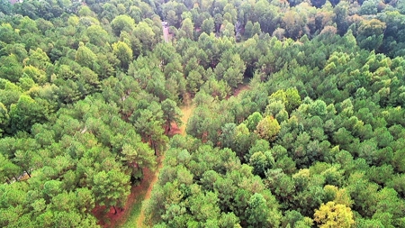 Waterfront Acreage On Lake Gaston, NC - image 8