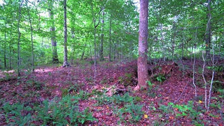 Waterfront Acreage On Lake Gaston, NC - image 15