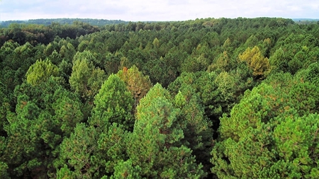 Waterfront Acreage On Lake Gaston, NC - image 10