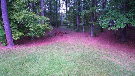 Waterfront Acreage On Lake Gaston, NC - image 19