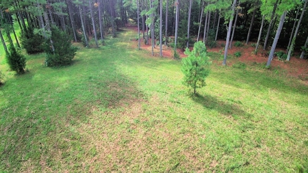 Waterfront Acreage On Lake Gaston, NC - image 4