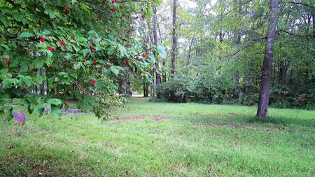 Waterfront Acreage On Lake Gaston, NC - image 16