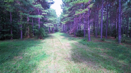 Waterfront Acreage On Lake Gaston, NC - image 13
