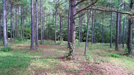 Waterfront Acreage On Lake Gaston, NC - image 12