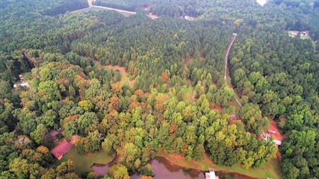 Waterfront Acreage On Lake Gaston, NC - image 24