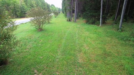 Waterfront Acreage On Lake Gaston, NC - image 2