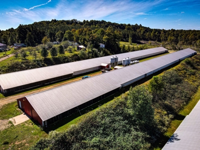Poultry Farm For Sale in Connelly Springs NC - image 11