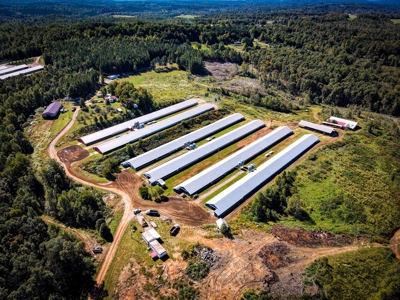 Poultry Farm For Sale in Connelly Springs NC - image 2