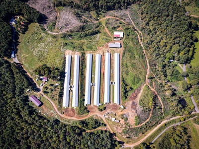 Poultry Farm For Sale in Connelly Springs NC - image 7