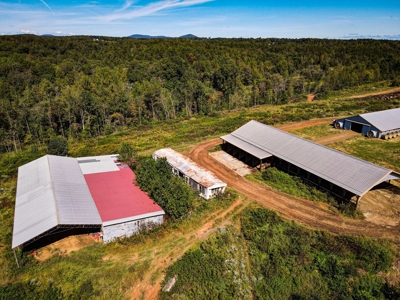 Poultry Farm For Sale in Connelly Springs NC - image 21