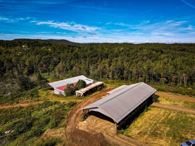 Poultry Farm For Sale in Connelly Springs NC - image 20
