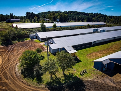 Poultry Farm For Sale in Connelly Springs NC - image 10