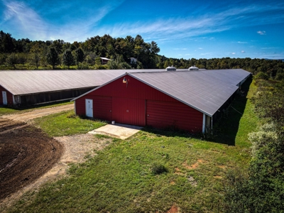 Poultry Farm For Sale in Connelly Springs NC - image 19