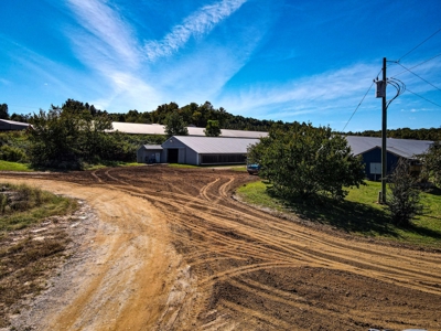 Poultry Farm For Sale in Connelly Springs NC - image 24