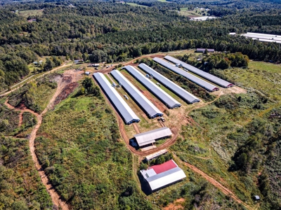 Poultry Farm For Sale in Connelly Springs NC - image 4