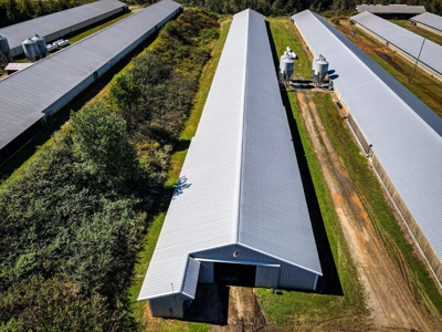 Poultry Farm For Sale in Connelly Springs NC - image 12