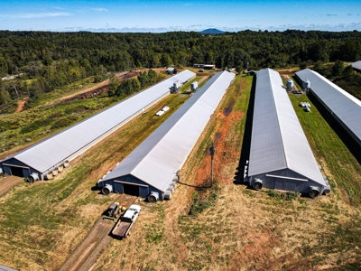 Poultry Farm For Sale in Connelly Springs NC - image 13