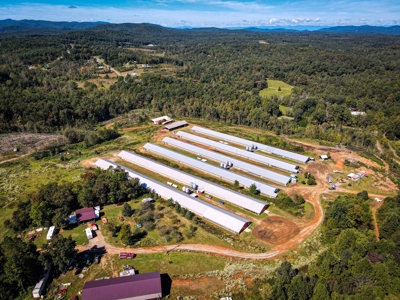 Poultry Farm For Sale in Connelly Springs NC - image 6