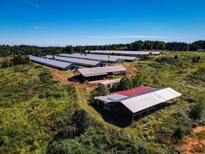 Poultry Farm For Sale in Connelly Springs NC - image 23