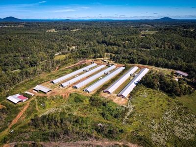 Poultry Farm For Sale in Connelly Springs NC - image 5