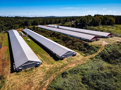 Poultry Farm For Sale in Connelly Springs NC - image 14