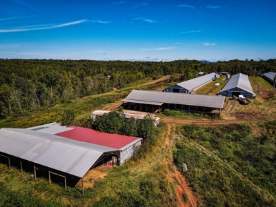 Poultry Farm For Sale in Connelly Springs NC - image 22