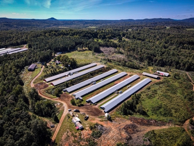 Poultry Farm For Sale in Connelly Springs NC - image 3
